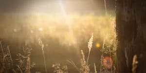 Wondrous is your Consciousness