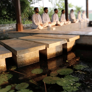 Sakshi Meditation