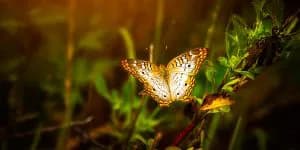 5 keys to transformation
